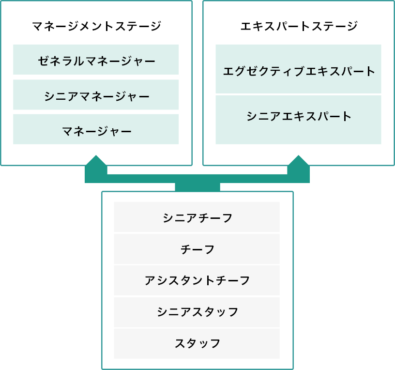 キャリア制度