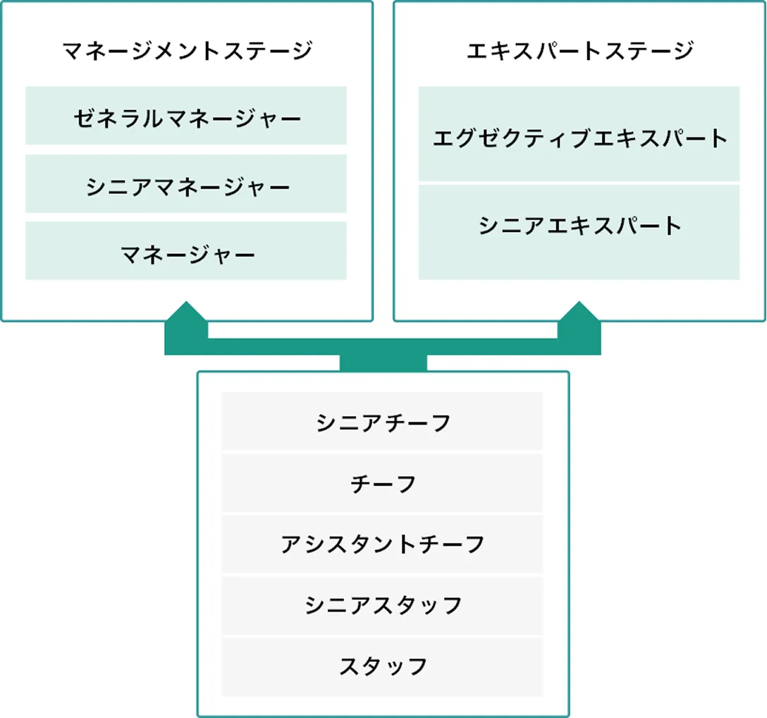 キャリアパス画像